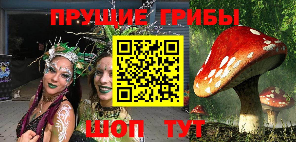 Галлюциногенные грибы GOLDEN TEACHER  Вход с VPN  Калач-на-Дону 